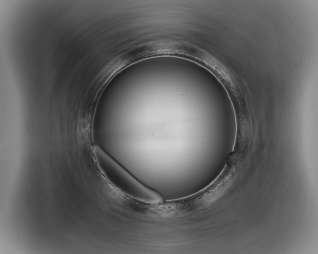 X0000116460801200912161231