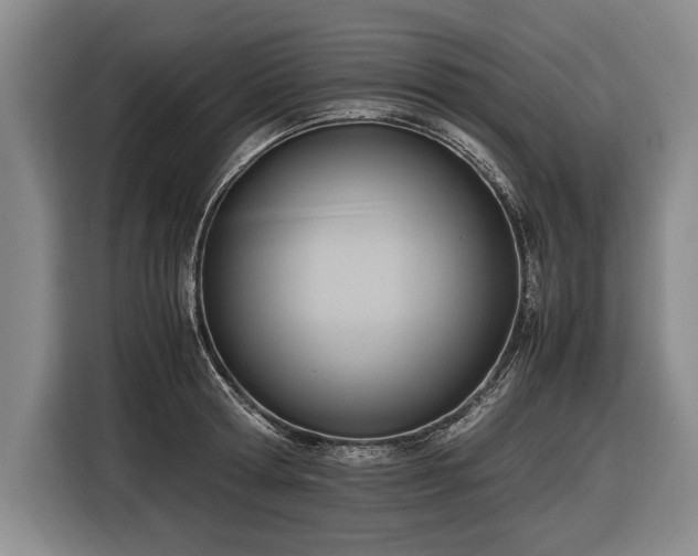 X0000116460802200912161231