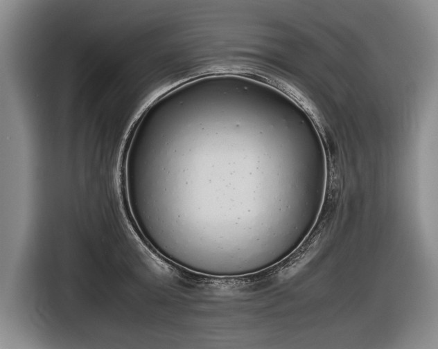 X0000116460803200912161231