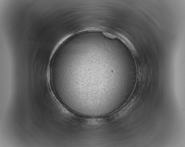X0000116460804200912161231