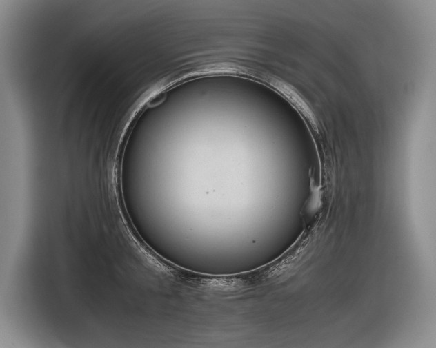 X0000116460805200912161231
