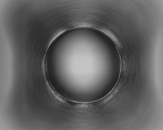 X0000116460806200912161231