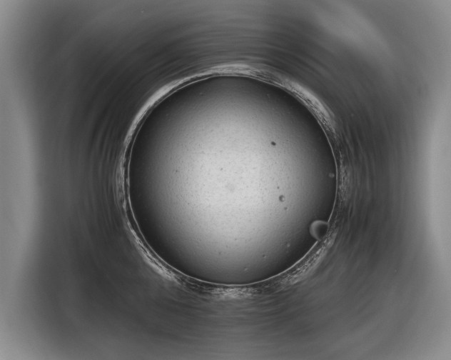 X0000116460808200912161231