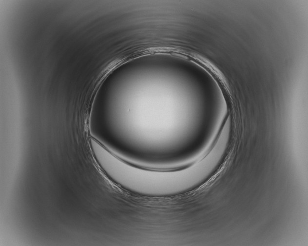 X0000116460809200912161231