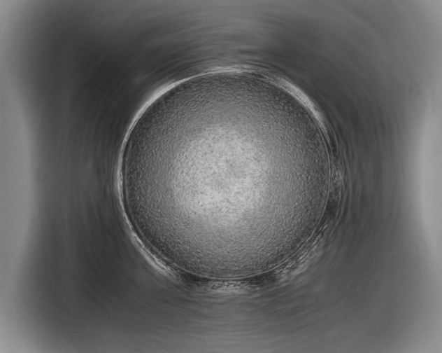 X0000116460811200912161231