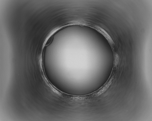 X0000116460812200912161231
