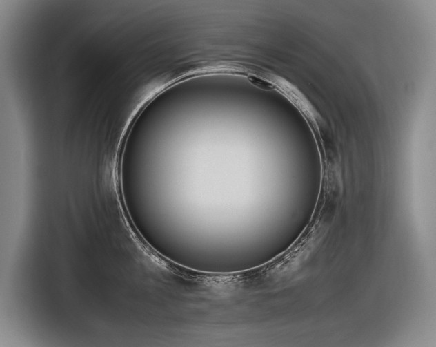 X0000116460813200912161231