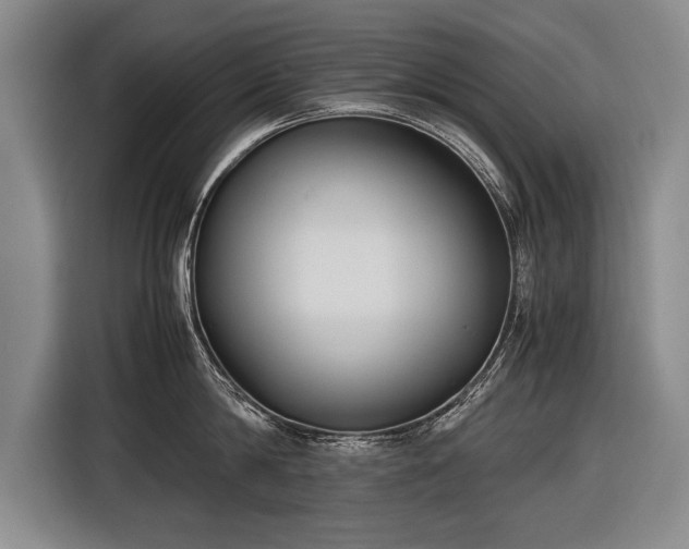 X0000116460814200912161231
