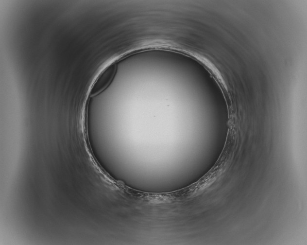 X0000116460815200912161231
