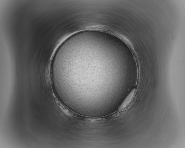 X0000116460816200912161231