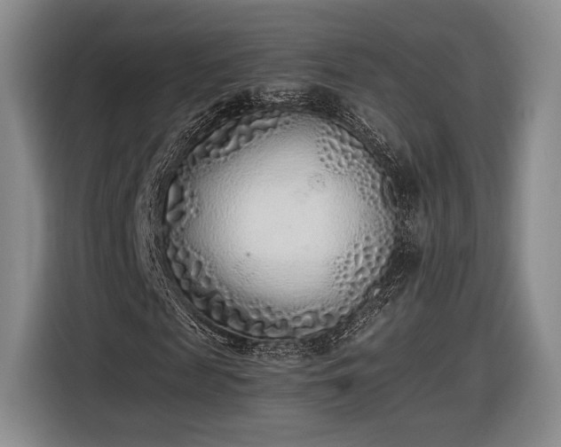 X0000116460817200912161230