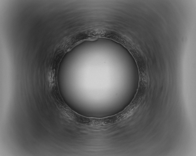 X0000116460818200912161230