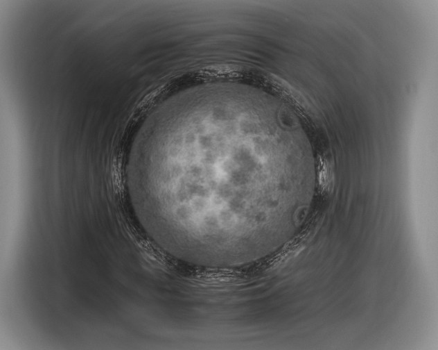 X0000116460819200912161230