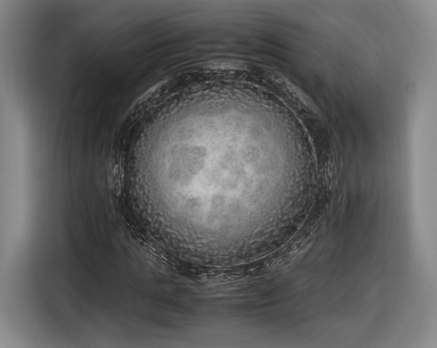 X0000116460821200912161230