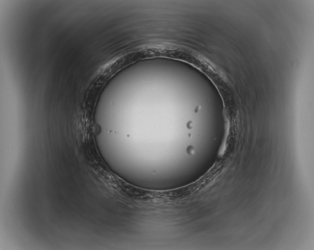 X0000116460822200912161230
