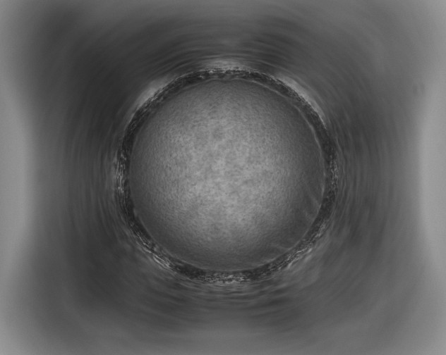 X0000116460823200912161230