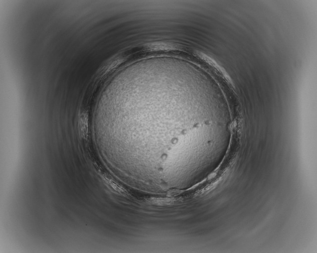 X0000116460825200912161230