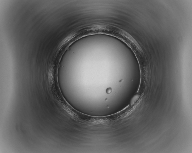 X0000116460826200912161230