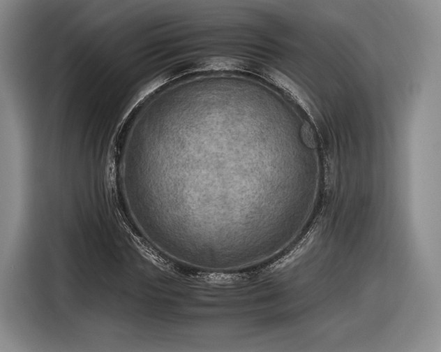 X0000116460827200912161230