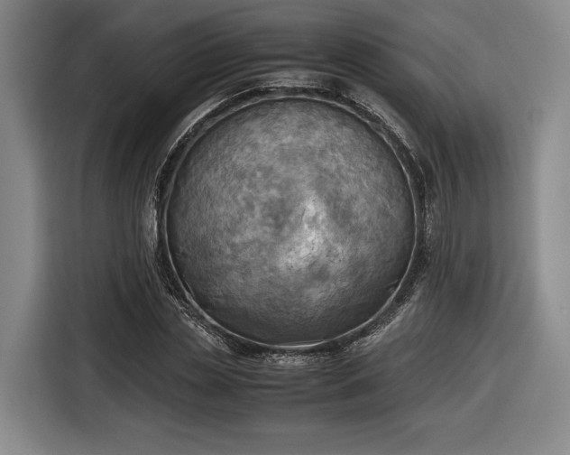 X0000116460829200912161230