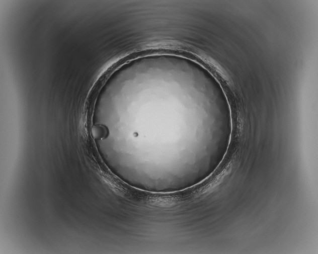 X0000116460830200912161230