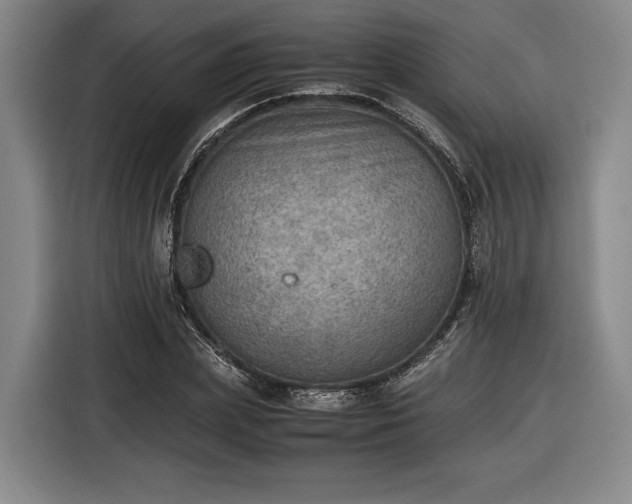 X0000116460831200912161230