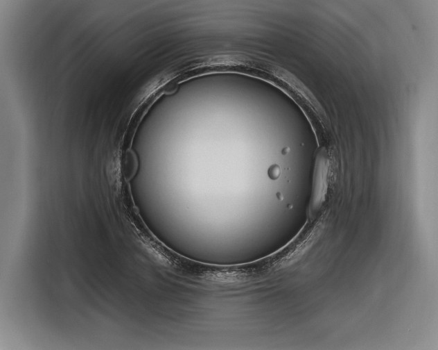 X0000116460834200912161230