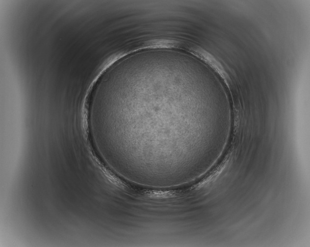 X0000116460835200912161230