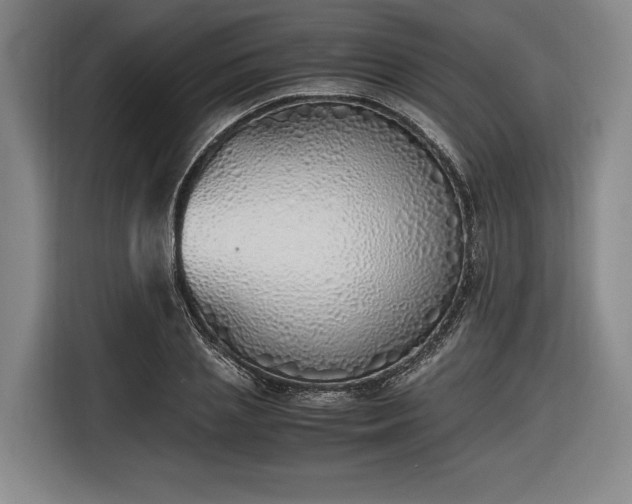 X0000116460837200912161230