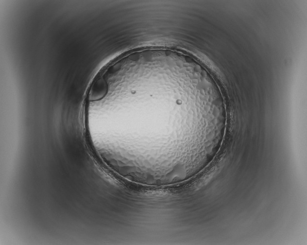 X0000116460838200912161230