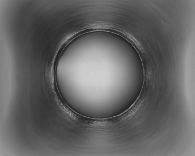 X0000116460840200912161230