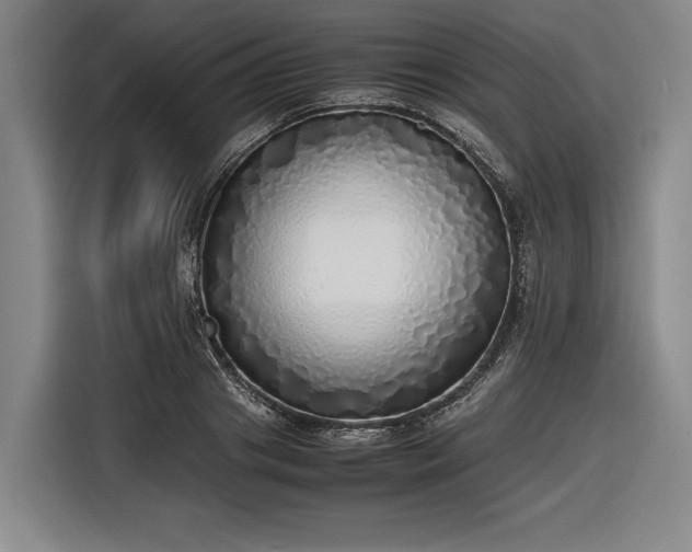 X0000116460841200912161230