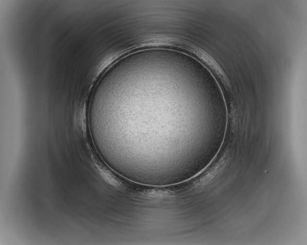 X0000116460842200912161230