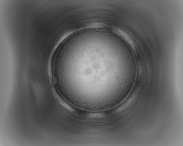 X0000116460843200912161230