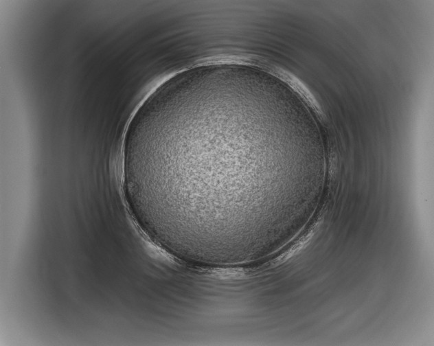 X0000116460844200912161230