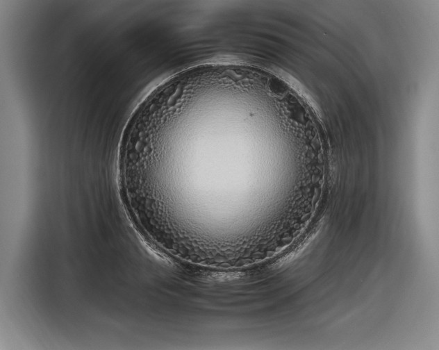 X0000116460845200912161230