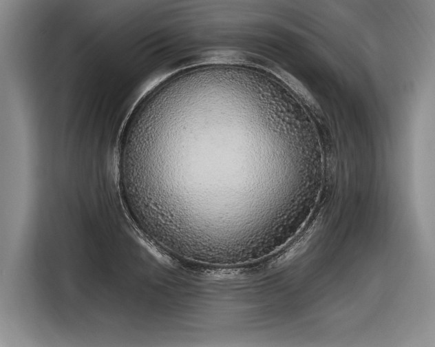 X0000116460846200912161230