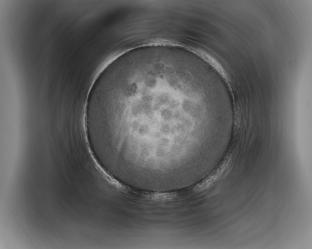 X0000116460847200912161230