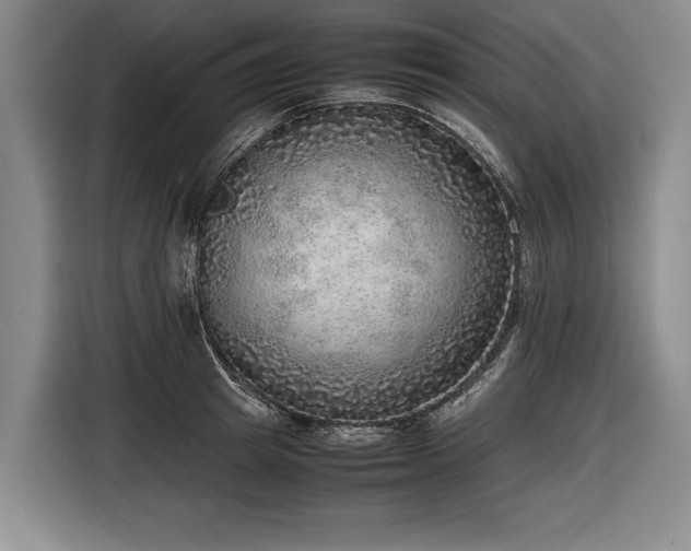 X0000116460849200912161230