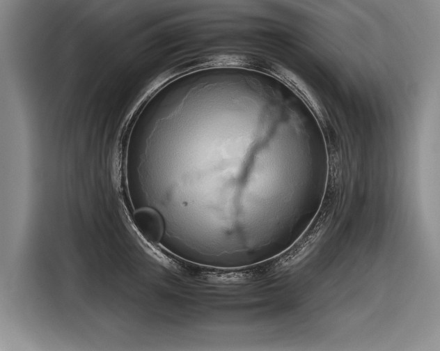 X0000116460851200912161231