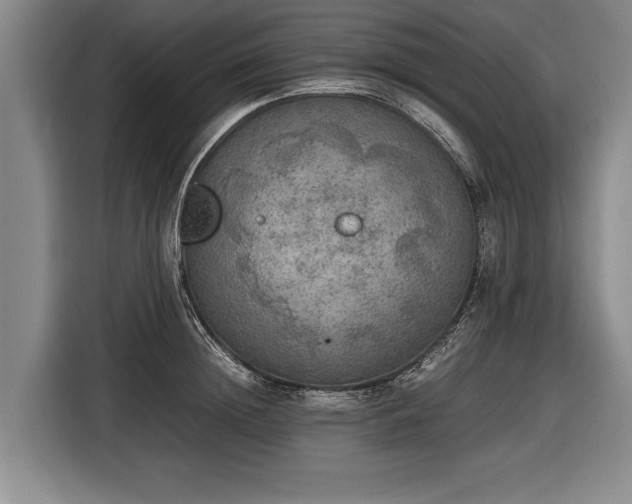 X0000116460852200912161231