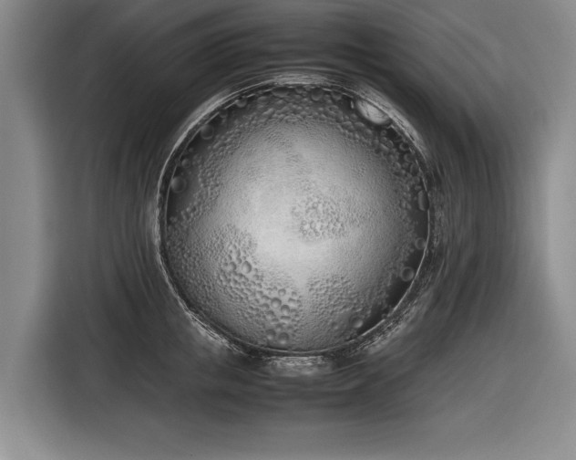 X0000116460853200912161231