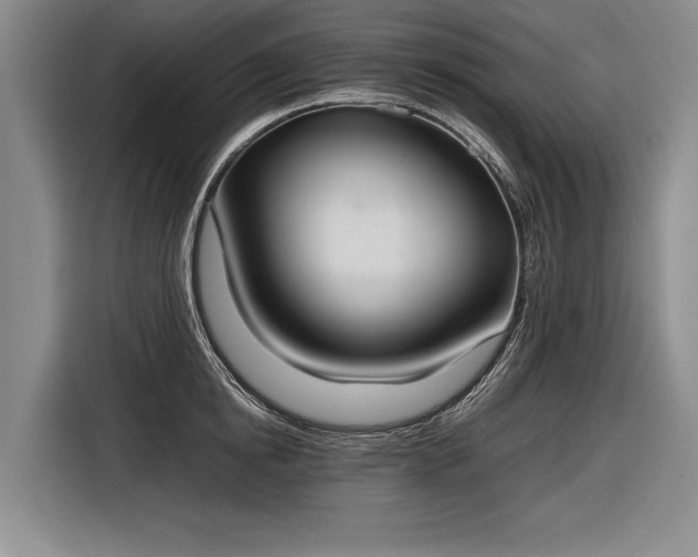 X0000116460854200912161231