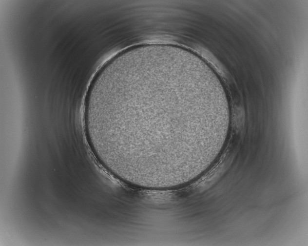 X0000116460856200912161231