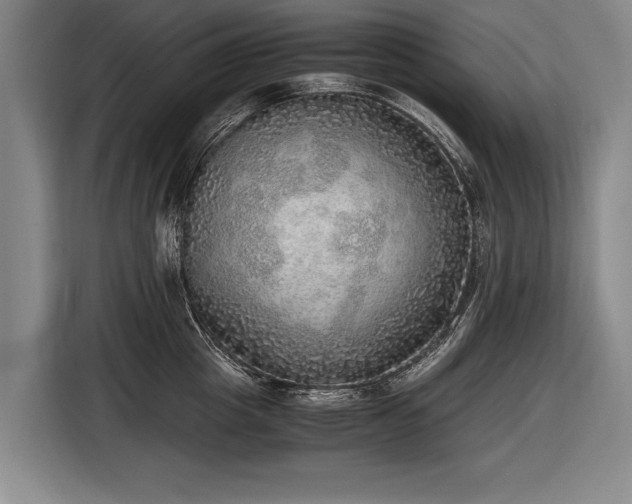 X0000116460857200912161231