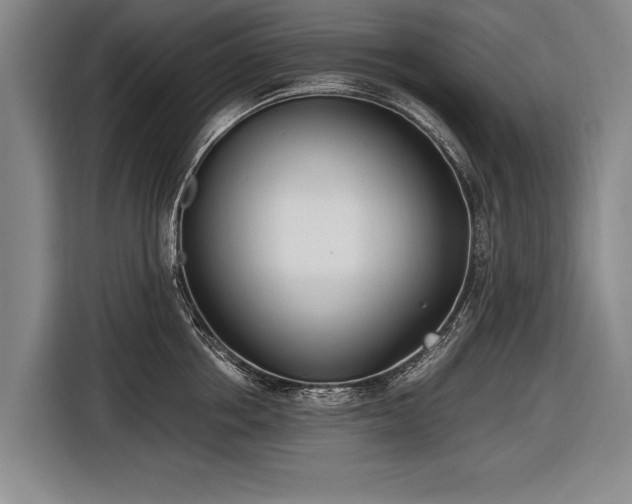X0000116460858200912161231