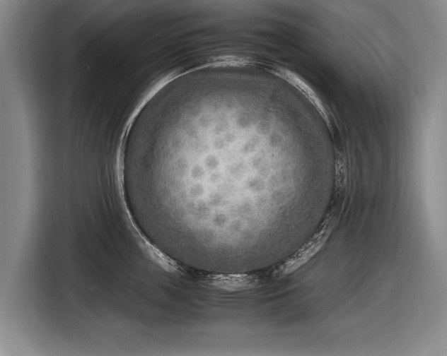 X0000116460859200912161231