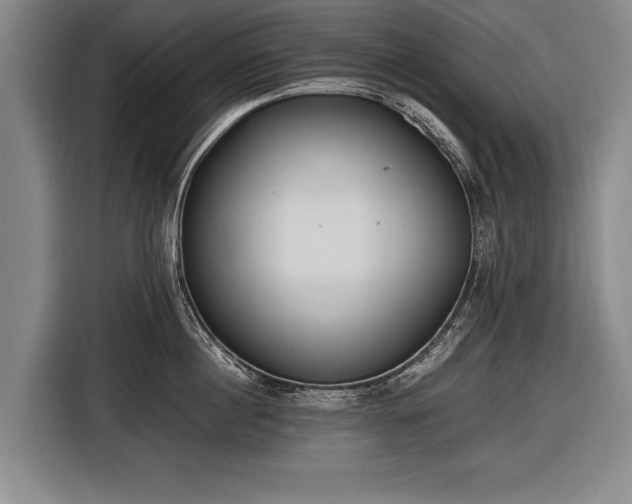 X0000116460860200912161231