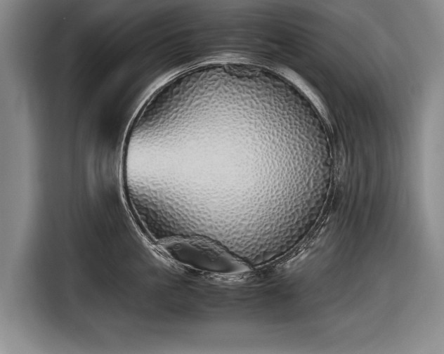 X0000116460861200912161231