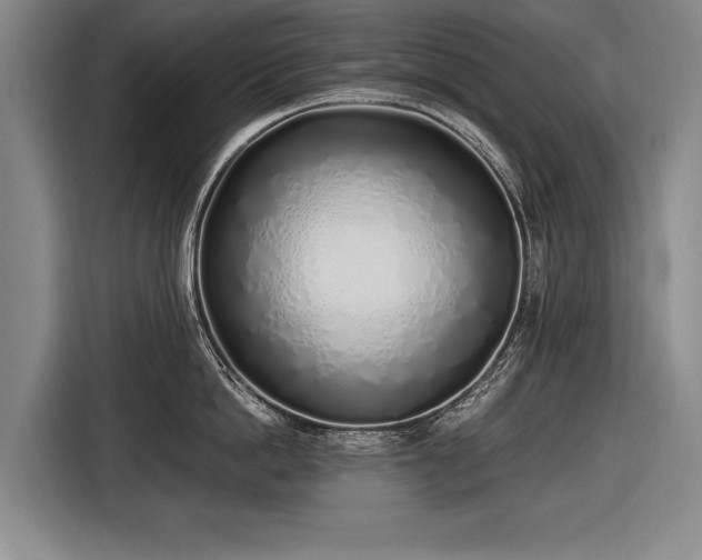 X0000116460862200912161231